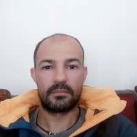 Luca Bertelli Email