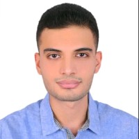 Mohamed Elsayed Email