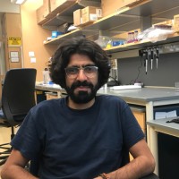 Overland Pharmaceuticals Employee Arash Nanbakhsh's profile photo