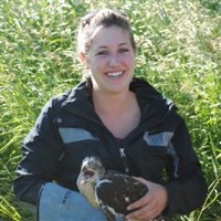 Jacobs Employee Ashley Sauer's profile photo
