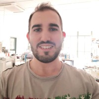Systea S.p.A. Employee Niccolò Savino's profile photo