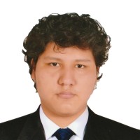 Bunpro Employee Fernando Vizcarra Solís's profile photo