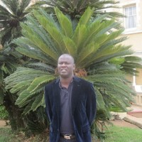 Mor Sall Email