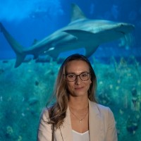 North Carolina Aquarium at Fort Fisher Employee Holly Doerr's profile photo