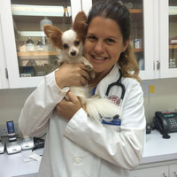 Veterinary Emergency Group Employee Caroline Kozar's profile photo