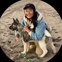Jing Niu Email & Phone Number