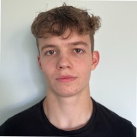 Monogoto Employee David Muchnik's profile photo
