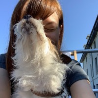 KOMODO Employee Catrin Orr's profile photo