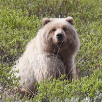 James Worthington Email & Phone Number