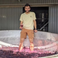 Pepper Tree Wines Employee Irakli Gotsiridze's profile photo
