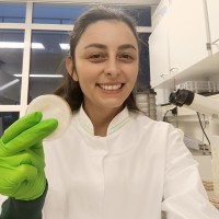 Hazal Kandemir Email