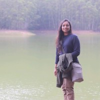 tedwiz Employee Jyothy Jayan's profile photo