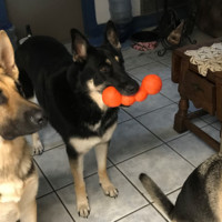 Florin|Roebig Employee Kathy Bilbrey's profile photo