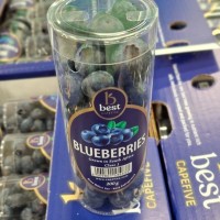 CAPE FIVE EXPORT SA Employee Nico Kotze's profile photo