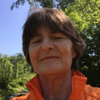 Independent Contractor Employee Vicky Stephens's profile photo