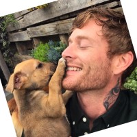 Network for Animals Employee Luke Kruyt's profile photo