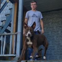 Artioli Dodge Employee Andrew Zehall's profile photo