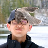 Starti.tv Employee Flint Cao's profile photo