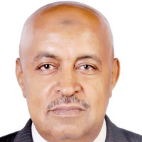Hyundai Engineering & Construction Co.,Ltd. Employee Hamdy Osman's profile photo