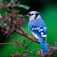 Minitool Solution Employee Gregory Castillo's profile photo