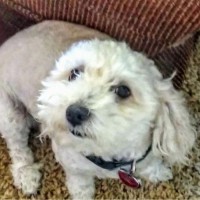 Coalinga Regional Medical Ctr Employee Daniel Eaton's profile photo