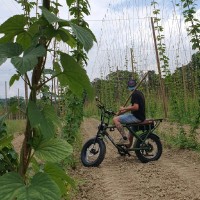 COSOLUCE Employee Sébastien Vignau's profile photo