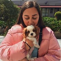 Be Interactive Australia Employee Chelsea Fantone's profile photo