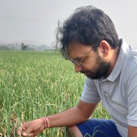 Nitin Kedia Email
