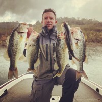 Lavi Industries Employee Brant List's profile photo