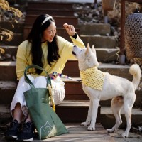 East Bay SPCA Employee Heidi Kwok's profile photo