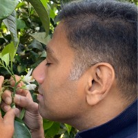 Email e telefono di Raja Palaniswamy