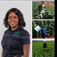 Seed Co Zimbabwe Employee Wendy Madzura's profile photo