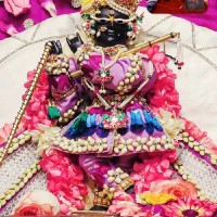 Neoseal Adhesive Pvt Ltd Employee Raj Kumar's profile photo