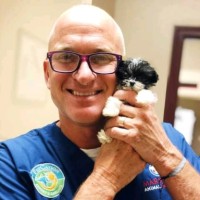 World Health Organization Employee Jay Marcus's profile photo