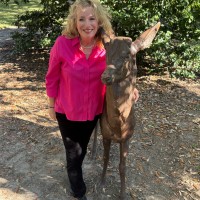 Lisa Stutzman