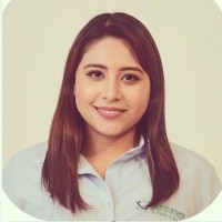 PIECSA Employee Kristel Miroslava Villarreal Reyes's profile photo