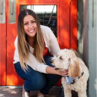 Rover.com Employee Jovana Teodorovic's profile photo