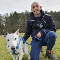 Talk Think Do Employee Stuart Healey's profile photo