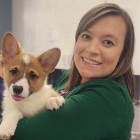 Cascade Hospital for Animals Employee Melissa Doran's profile photo