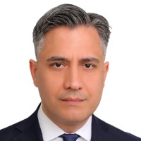 ASAŞ ALÜMİNYUM SANAYİ VE TİCARET A.Ş. Employee Arin Demi̇R's profile photo