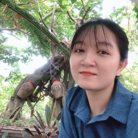 Vi Nguyen's profile photo