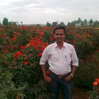 Triya Solutions Employee Ravindrakumar P's profile photo