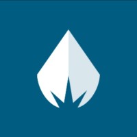 Digital Team Email