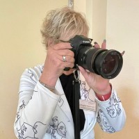 Capitol PhotoInteractive Employee Regina Madwed's profile photo