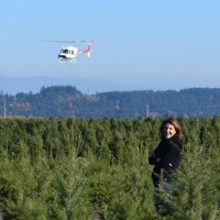 Emerald Christmas Tree Co Employee Erin Fleck's profile photo