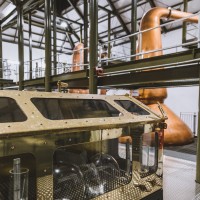 Celtic Renewables Employee Ewan McLean's profile photo