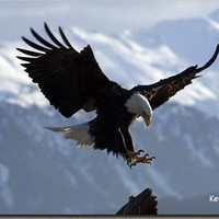 The Mended Hearts, Inc. Employee James Cooke's profile photo