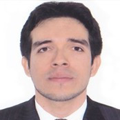 Pedro Alfredo Peña Castillo Email