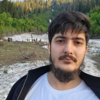 GoPythonSoftware LLC Employee Syed Shah's profile photo