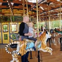 Neil O'Mara Email & Phone Number